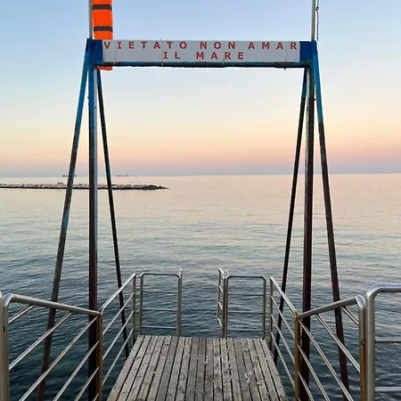 Apartment Casa Morgy